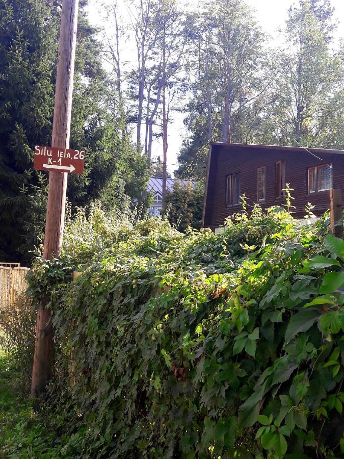 Home Jūrkalne Dış mekan fotoğraf